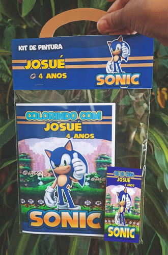 15 Kit De Colorir Personalizado Sonic